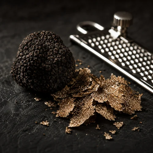 Black truffle and fine ingredients